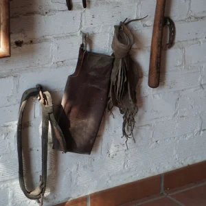 Lote brida y cabezada