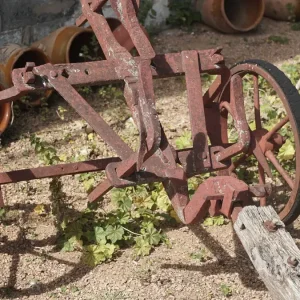 Peine de rejas para arar I