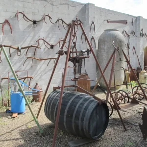 Castañón para bocoyes